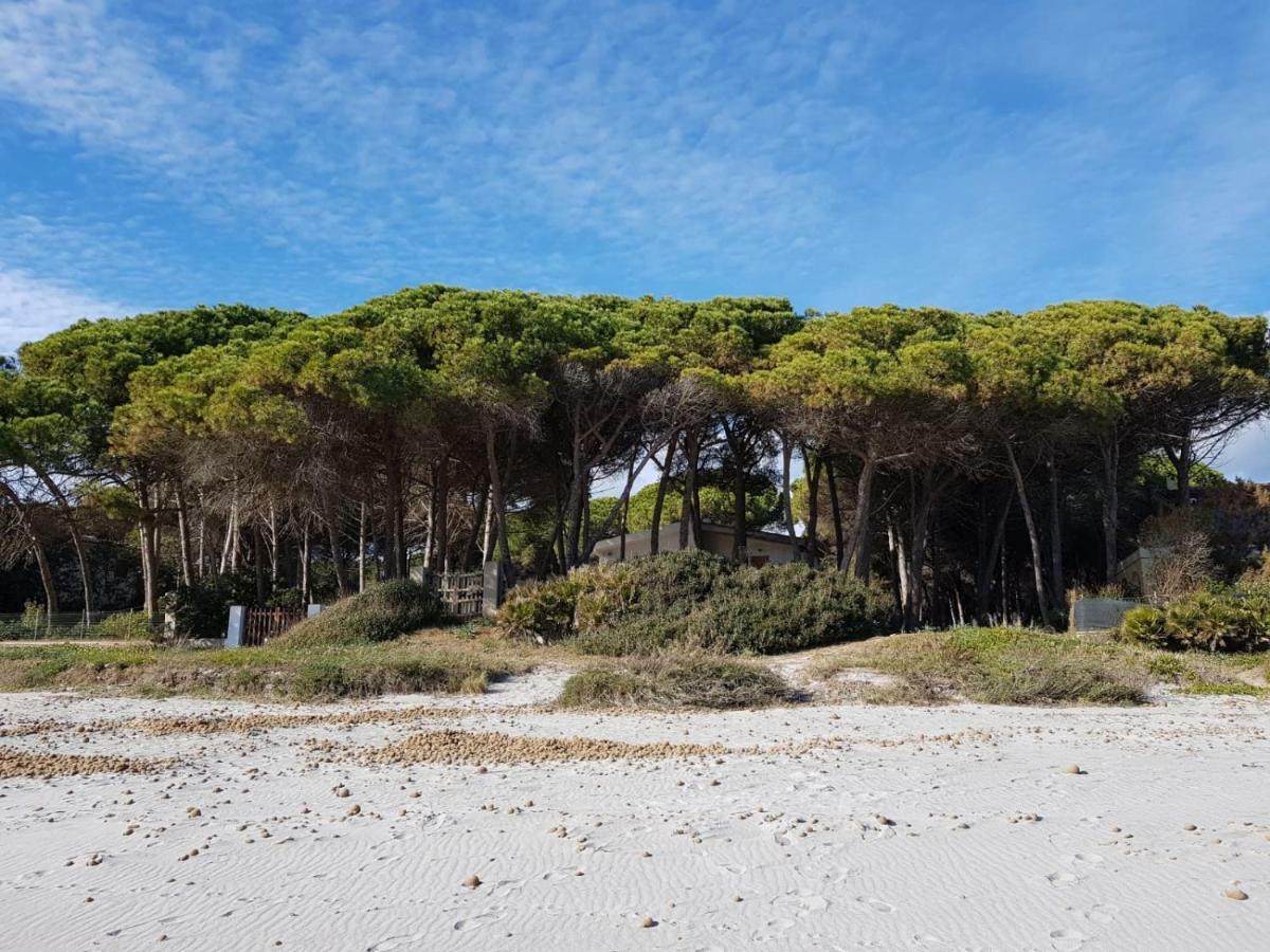 Mimosa Bilocale Cala Liberotto Exterior photo