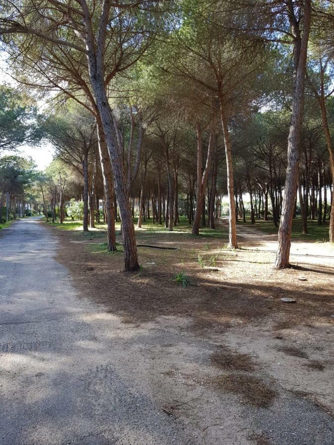 Mimosa Bilocale Cala Liberotto Exterior photo